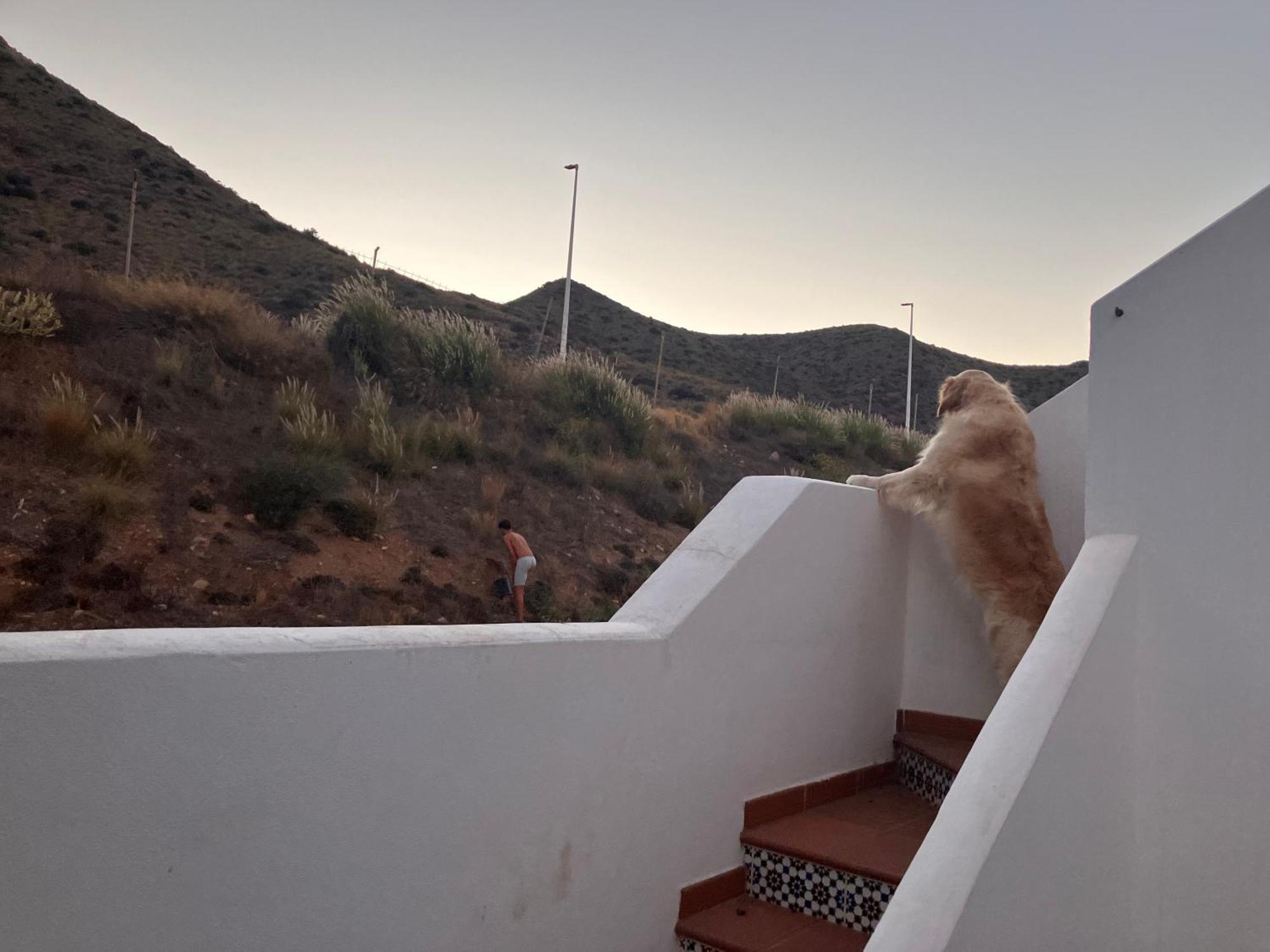 Agua 41 Villa San José Dış mekan fotoğraf