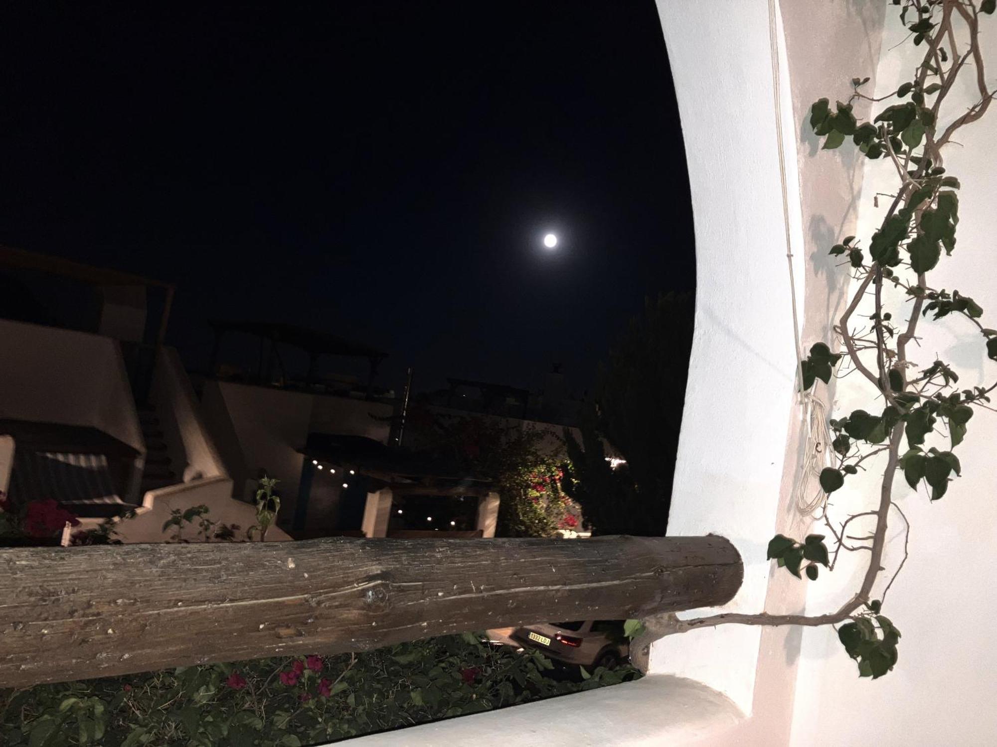 Agua 41 Villa San José Dış mekan fotoğraf