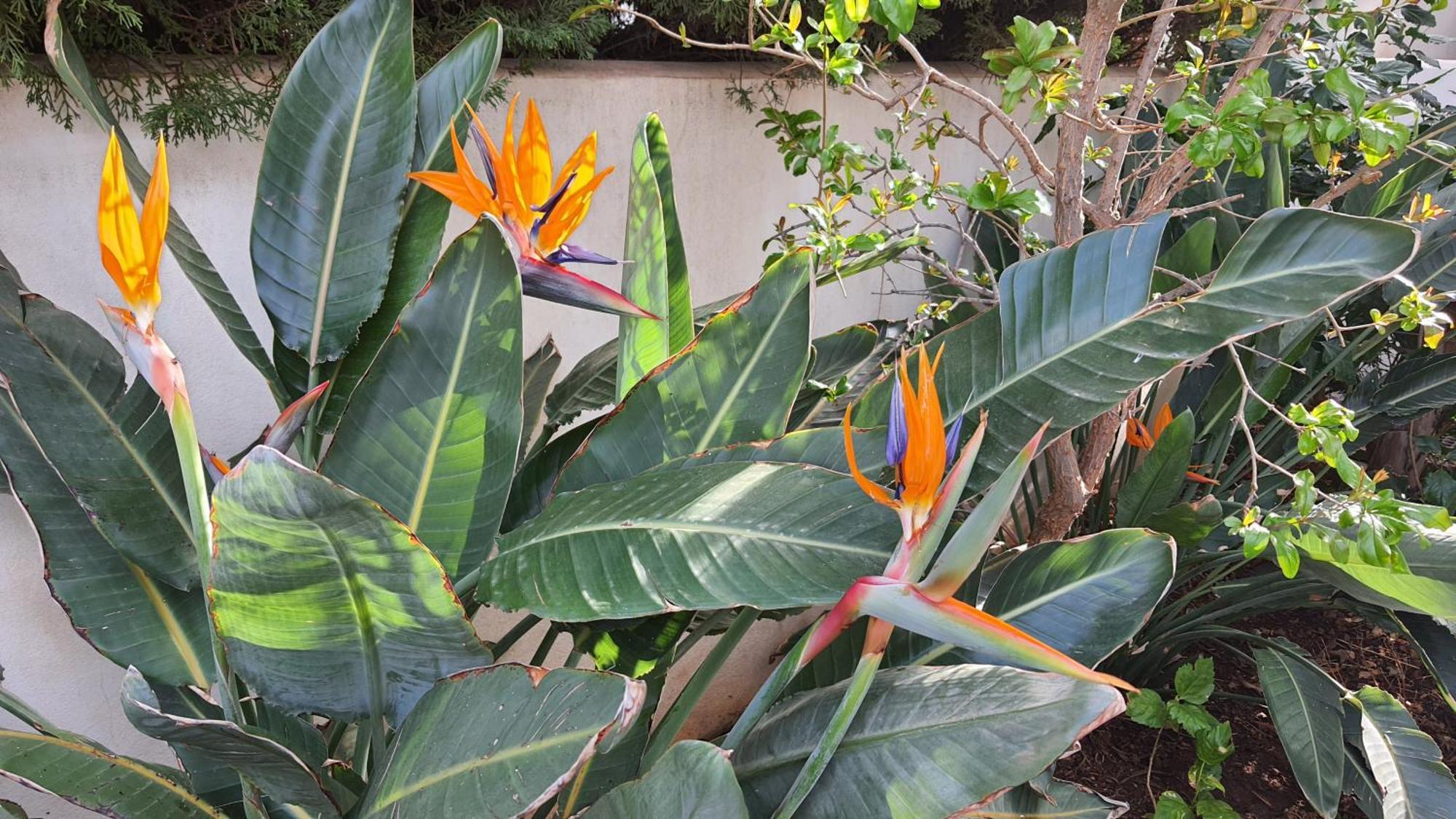 Agua 41 Villa San José Dış mekan fotoğraf