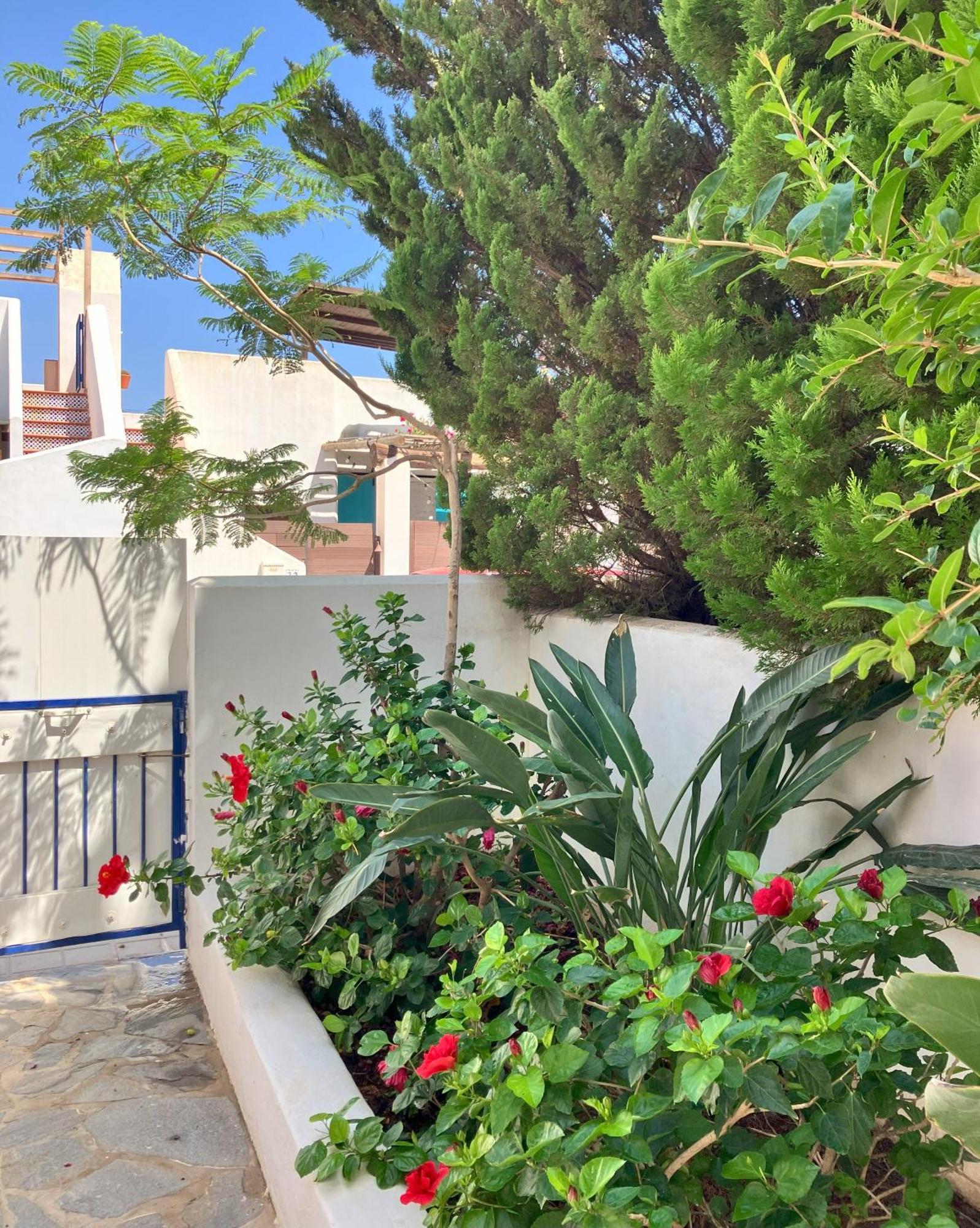 Agua 41 Villa San José Dış mekan fotoğraf